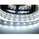 LED pásek 12W, 60 LED, 24V, Studená bílá, nezalitý