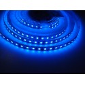 LED pásek 24V HQ 120LED 9.6W vnitřní - Modrá