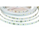 LED pásek 24V HQ 60LED 4.8W vnitřní - Denní bílá