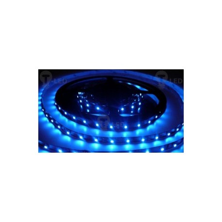 LED pásek 4.8W, 60 LED, Nezalitý IP 20 - Modrý