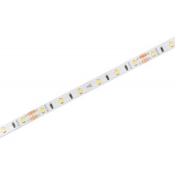 LED pásek 50M24HQ6048 50m vnitřní záruka 3 roky - Studená bílá