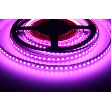LED pásek RGB 24V 120LED/m 14W/m
