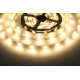 LED pásek 12LENS 2818 - Teplá bílá