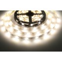 LED pásek 12LENS 2818 - Denní  bílá