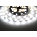LED pásek 12LENS 2818 - Studená bílá