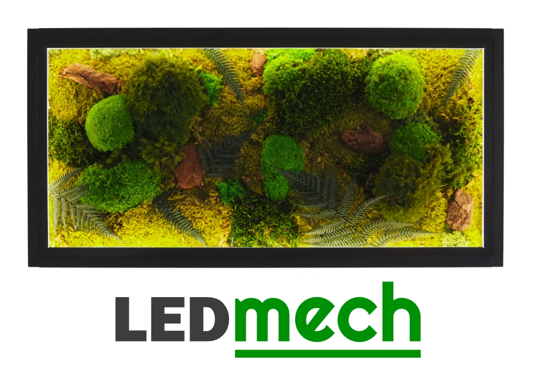 LEDmech - mechové obrazy s led osvětlením